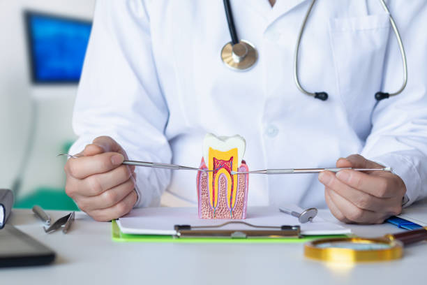Best Urgent Dental Care in Cortland West, NY